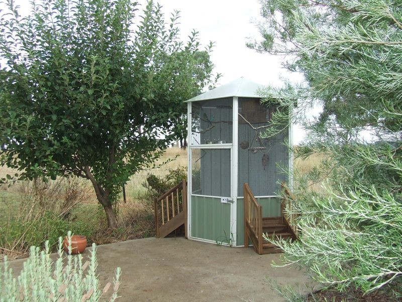 15 Ridds Lane WINTON NSW 2344, Tamworth NSW 2340