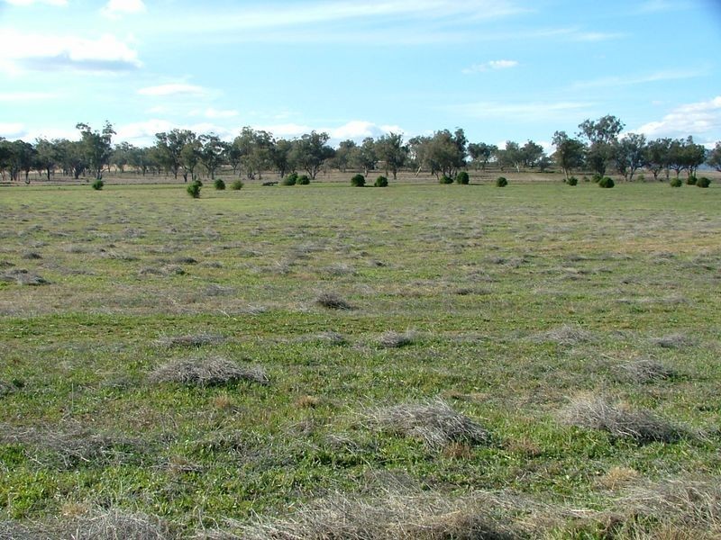 1525 New England Highway, Tamworth NSW 2340