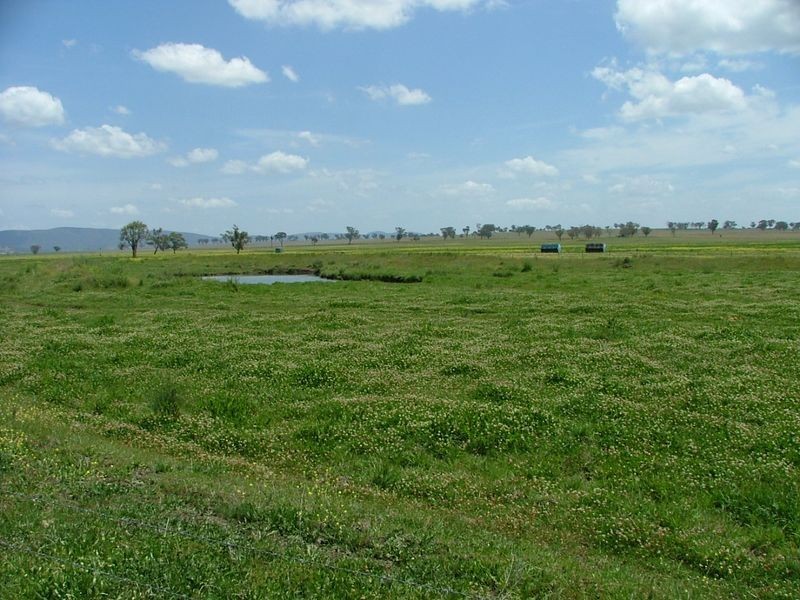 Bithramere NSW 2340