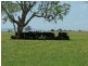 Bithramere NSW 2340