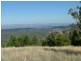 225-419 Attunga Forest Road, Attunga NSW 2345