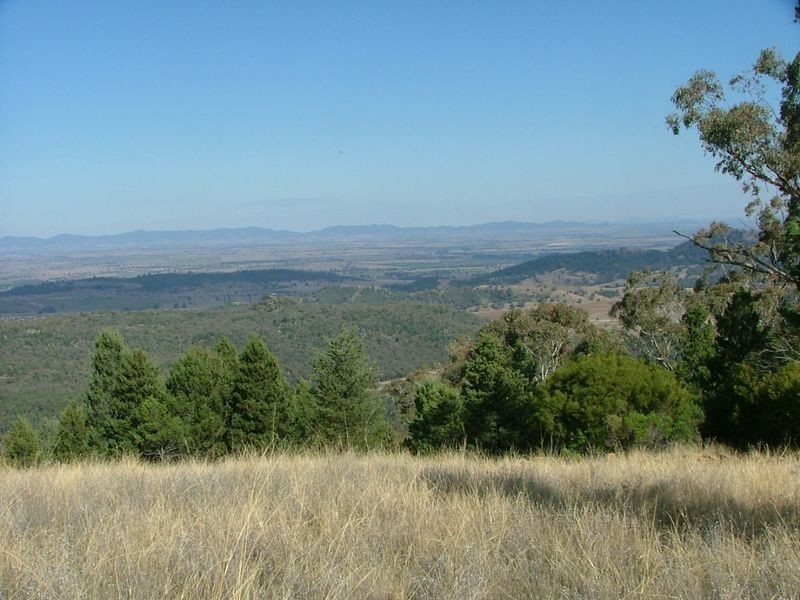 225-419 Attunga Forest Road, Attunga NSW 2345