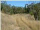 225-419 Attunga Forest Road, Attunga NSW 2345