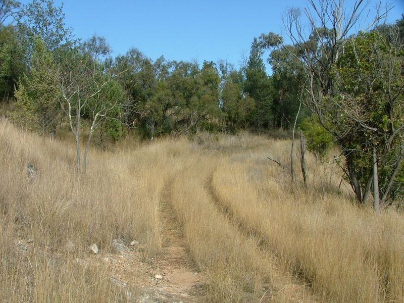 225-419 Attunga Forest Road, Attunga NSW 2345
