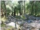 225-419 Attunga Forest Road, Attunga NSW 2345