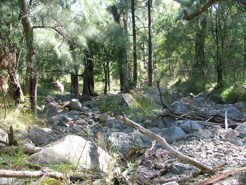 225-419 Attunga Forest Road, Attunga NSW 2345
