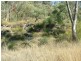 225-419 Attunga Forest Road, Attunga NSW 2345