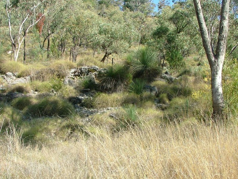 225-419 Attunga Forest Road, Attunga NSW 2345