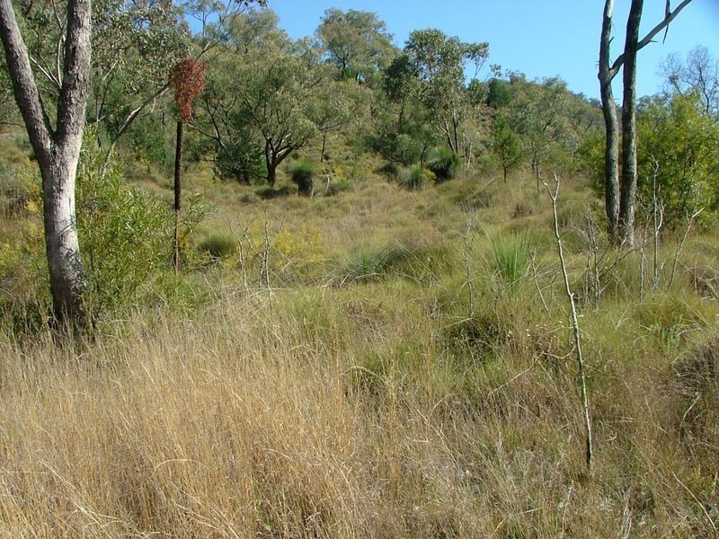 225-419 Attunga Forest Road, Attunga NSW 2345
