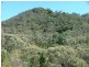 225-419 Attunga Forest Road, Attunga NSW 2345