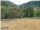 225-419 Attunga Forest Road, Attunga NSW 2345