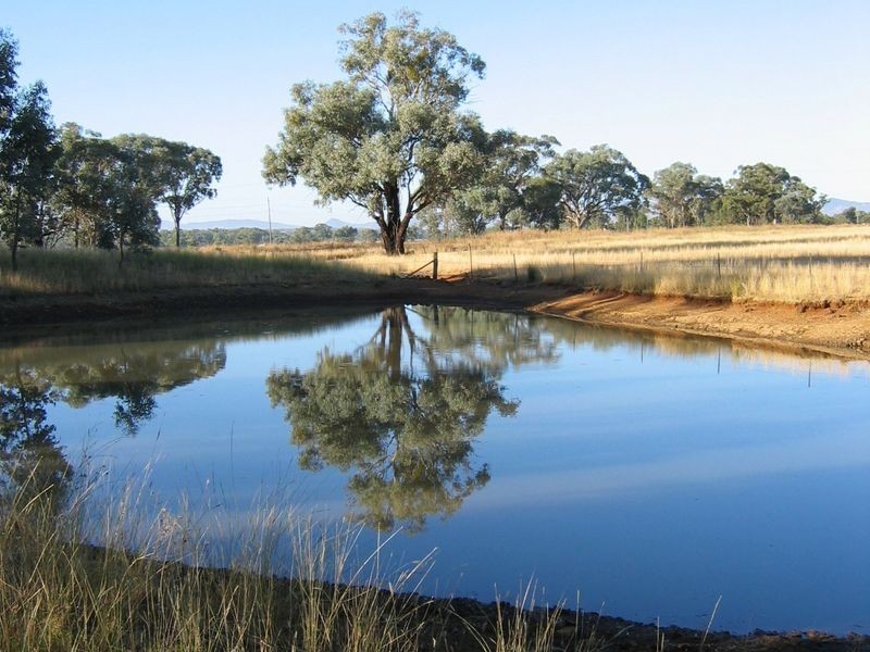 ‘Myona’/968 Warral Road, Tamworth NSW 2340