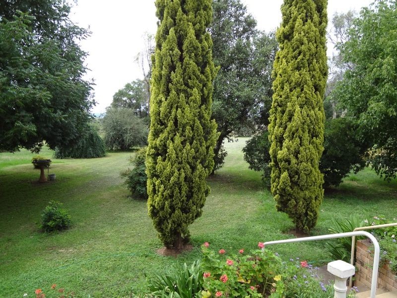 ‘Myona’/968 Warral Road, Tamworth NSW 2340