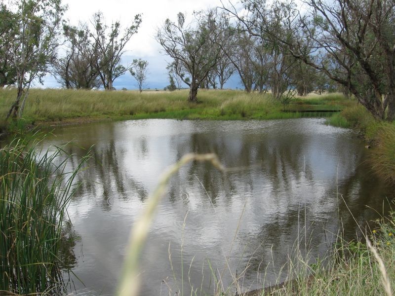 ‘Myona’/968 Warral Road, Tamworth NSW 2340