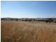 Quirindi NSW 2343