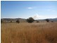 Quirindi NSW 2343