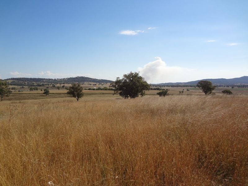 Quirindi NSW 2343