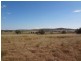Quirindi NSW 2343