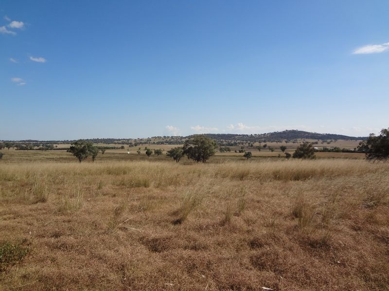Quirindi NSW 2343