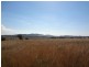 Quirindi NSW 2343