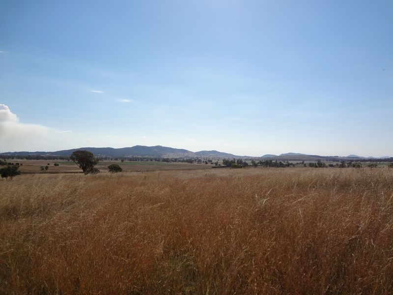 Quirindi NSW 2343