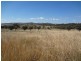 Quirindi NSW 2343