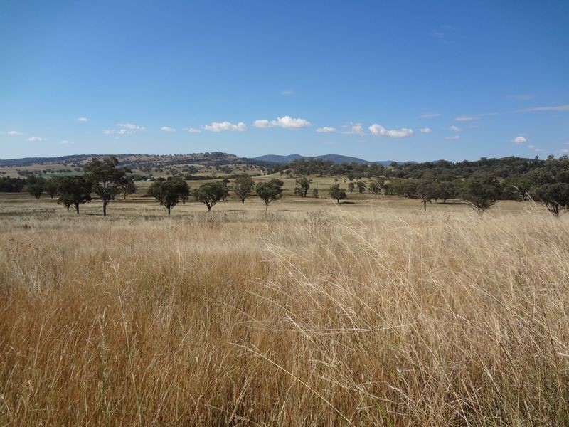 Quirindi NSW 2343