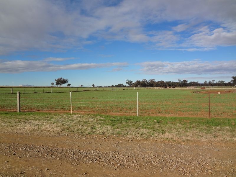 ‘Danalie’/532 Gowrie Road, Duri NSW 2344