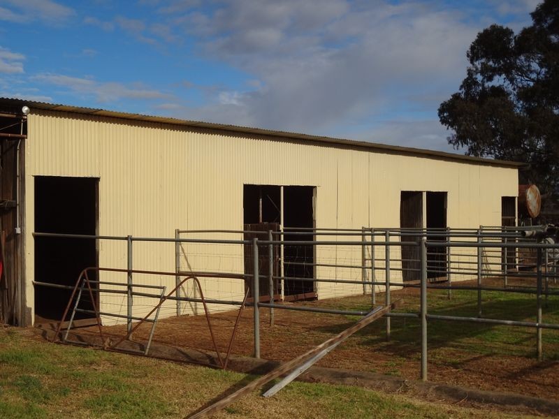 ‘Danalie’/532 Gowrie Road, Duri NSW 2344