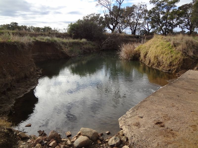 ‘Danalie’/532 Gowrie Road, Duri NSW 2344