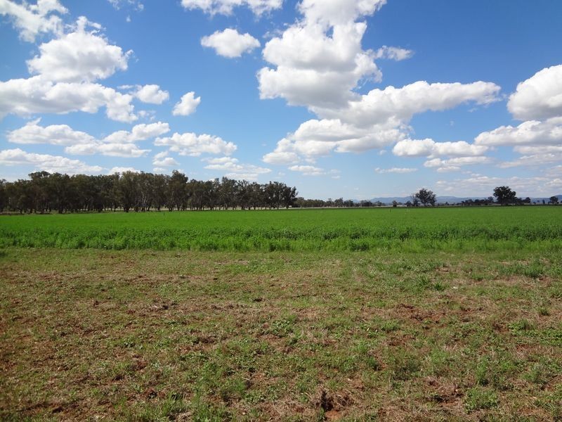 ‘Danalie’/532 Gowrie Road, Tamworth NSW 2340