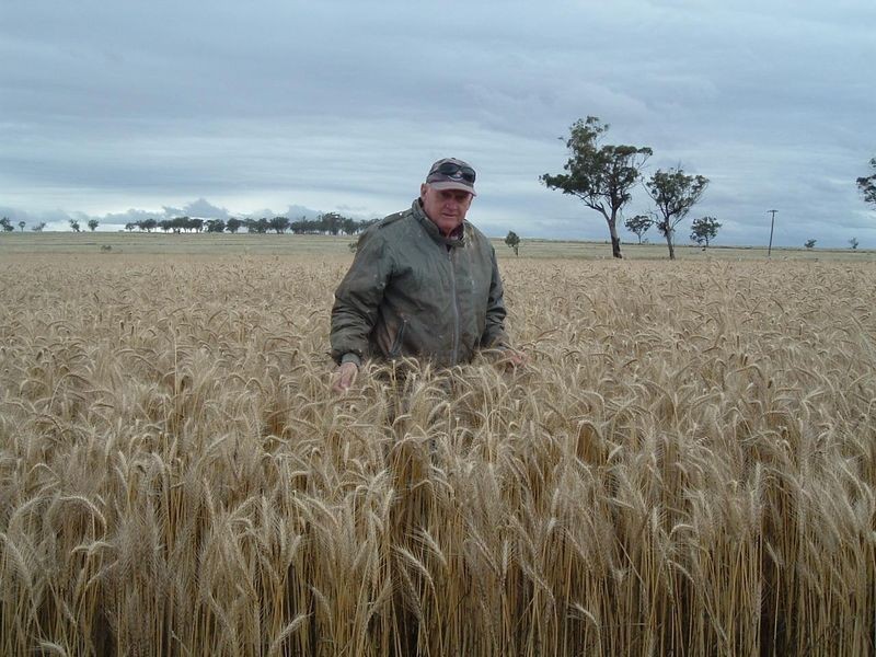 ‘Danalie’/532 Gowrie Road, Tamworth NSW 2340