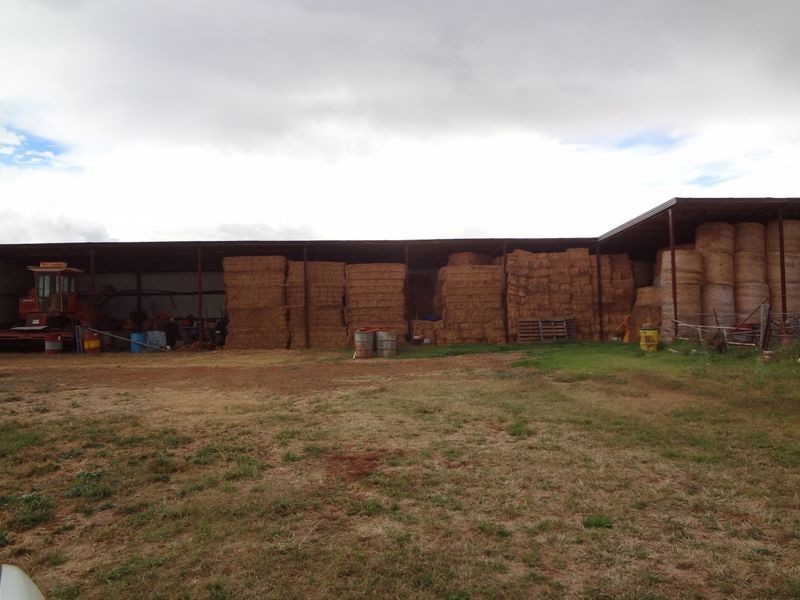 ‘Danalie’/532 Gowrie Road, Tamworth NSW 2340