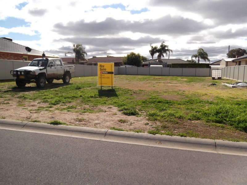 6 Bowman Drive, Tamworth NSW 2340