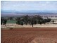 Spring Ridge NSW 2343
