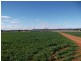 Spring Ridge NSW 2343