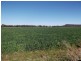 Spring Ridge NSW 2343