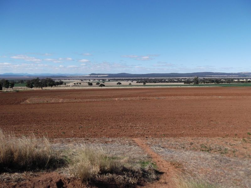 Tamworth NSW 2340