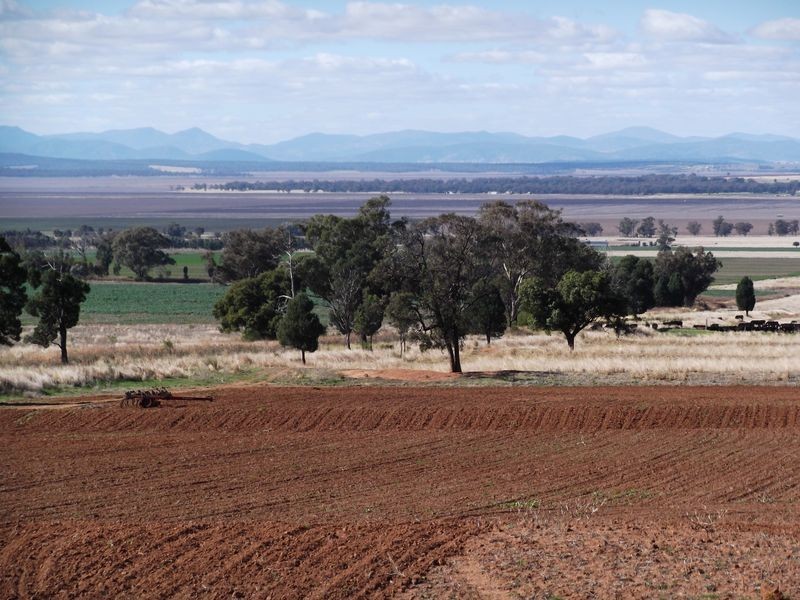 Tamworth NSW 2340