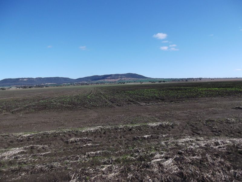 Tamworth NSW 2340