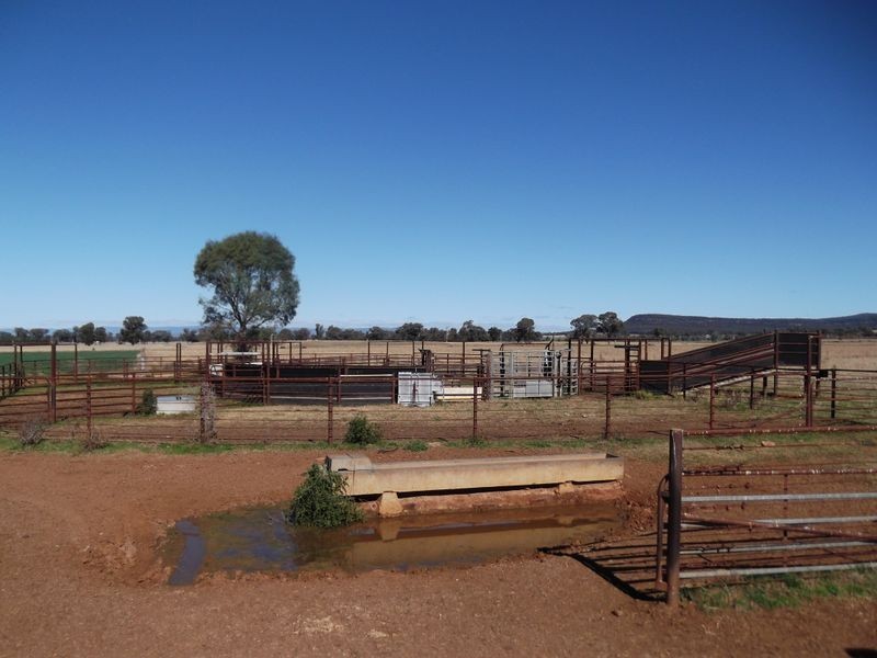 Tamworth NSW 2340