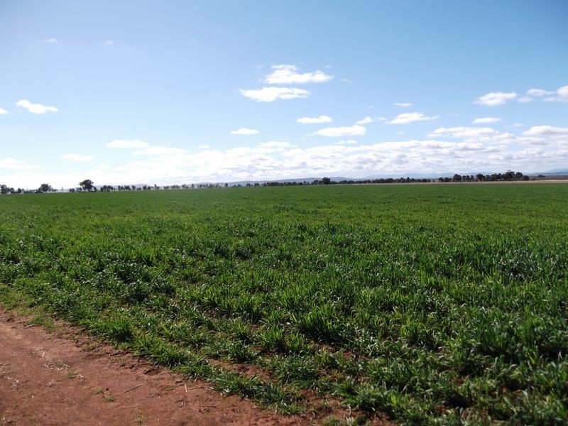 Tamworth NSW 2340