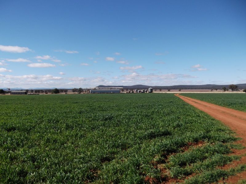 Tamworth NSW 2340