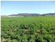 Tamworth NSW 2340