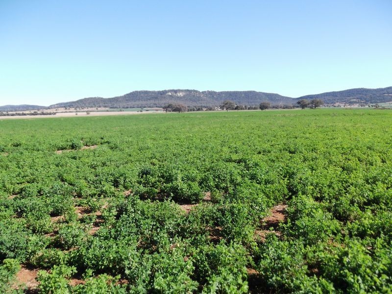 Tamworth NSW 2340