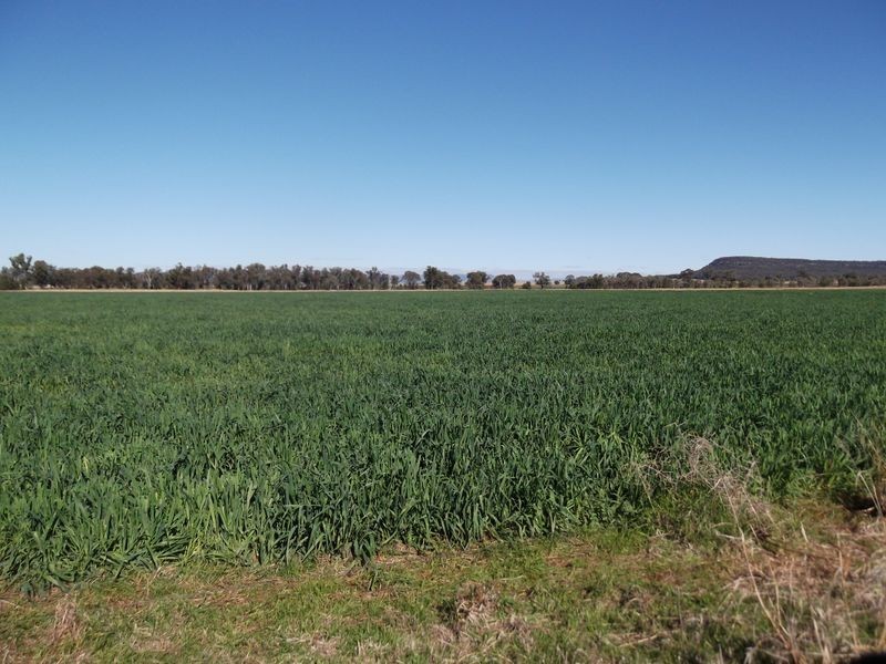 Tamworth NSW 2340