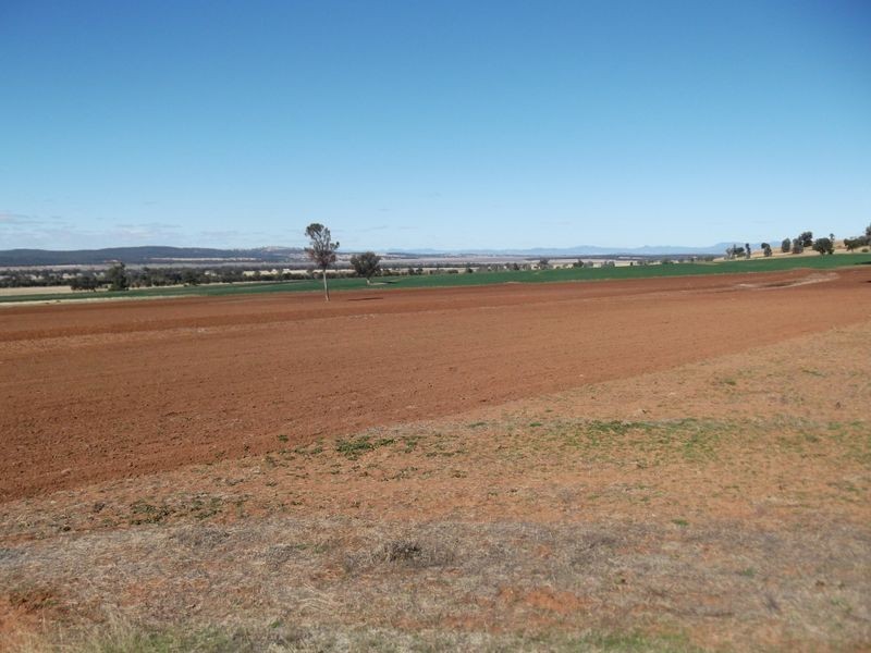 Tamworth NSW 2340