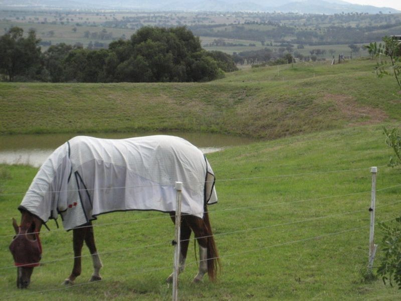 Loomberah NSW 2340