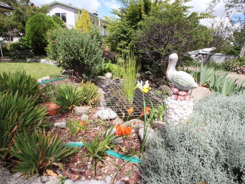 8 Russell Street, Tamworth NSW 2340