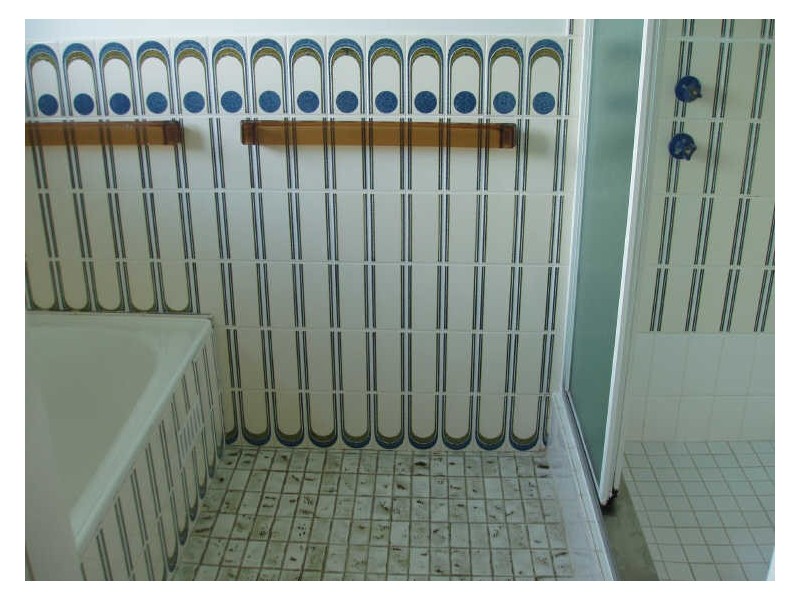 20 Robina Street, Tamworth NSW 2340